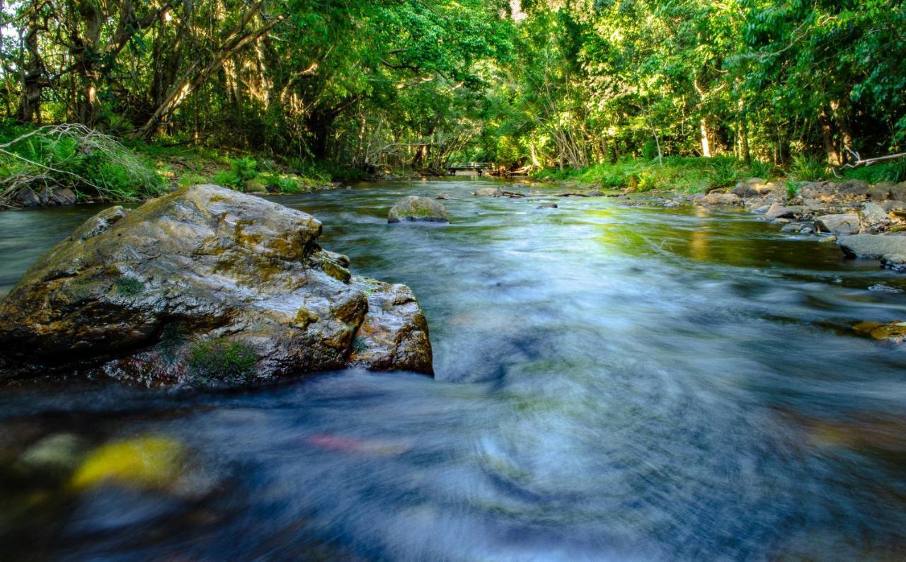 Cairns Homestead Redlynch Pet And Family Friendly 外观 照片